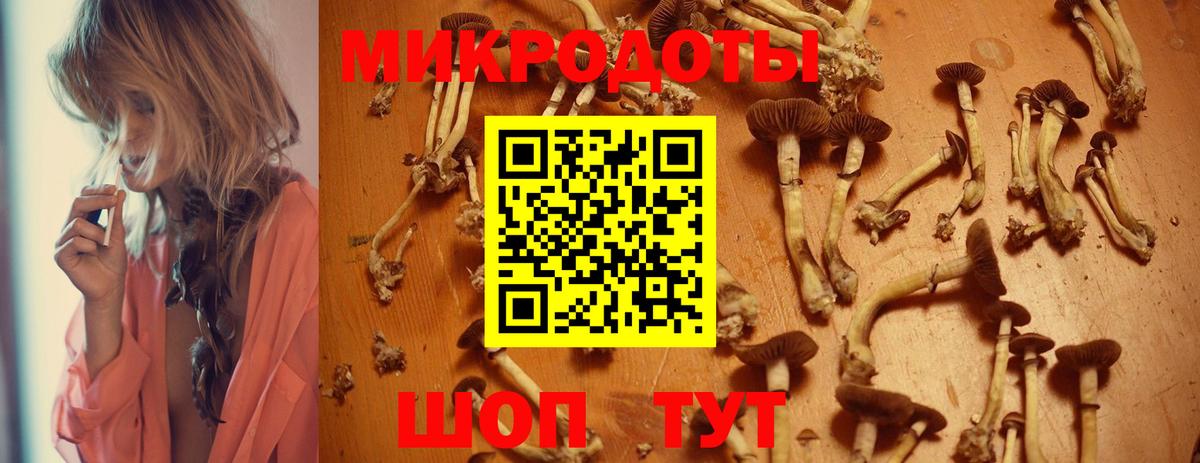 Галлюциногенные грибы MAGIC MUSHROOMS  Псилоцибиновые грибы Psilocybe  Вход с VPN  Ростов-на-Дону 